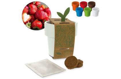 A flowerpot with strawberry seeds, comes in several bright colours. Once ready, replant the plant into the garden, handwash the pot and repurpose it as a coffee mug. The well-designed edge creates a double wall, to prevent your hand from getting burn...