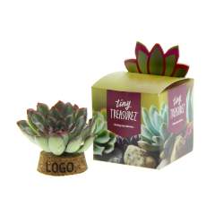 Tiny Treasurez® zijn levende mini-succulenten, als schatten uit de natuur. Deze prachtige groene decoraties vertegenwoordigen kleine ontdekkingen van moeder natuur en komen in verschillende soorten. Alle onze Tiny Treasurez® zijn uniek op zichzelf en hebben weinig onderhoud nodig, wat natuurlijk ideaal is. Ze kunnen heel langzaam wortels creëren, een illustratie van hun natuurlijke overlevingsdrang. Tiny Treasurez® hebben voldoende vochtreserves in hun blad om maandenlang droog te overleven. Ze symboliseren ook wel groei, leven en duurzaamheid. Wil je deze succulenten in een later stadium verder laten groeien, leg ze dan met de onderzijde voorzichtig in een potje gevuld met enigszins droge potgrond.<br /><br />De Tiny Treasurez® Living candle is een bijzonder levend geschenk en de ideale weggever op bijvoorbeeld evenementen of beurzen. Het kurkje wat qua vorm en grootte zoals een waxinelichtje is dient als houder voor de minisucculenten. De kurk past precies in een waxinelichthoudertje, waardoor je als het ware een levende kaars creëert. In plaats van het branden van de kaars, kun je nu juist extra groen en gezondheid in huis halen. De houder van kurk kan worden gepersonaliseerd met jouw logo, slogan of boodschap. Samen is het verpakt in de fraaie giftbox wat het uitdelen super gemakkelijk maakt. Op het doosje staat het verhaal achter de Tiny Treasurez®, zodat ook de ontvanger weet wat voor unieks zij ontvangen.  Het levende plantje blijft lang in beeld bij de ontvanger, omdat het niet zomaar in een kast of prullenbak verdwijnt. Personaliseer ze met een boodschap op het product of door middel van een kaartje voor een blijvende indruk. Breng wat extra groene decoratie in huis met onze Tiny Treasurez®.<br /><br />Heeft u vragen over dit product, de gewenste personalisatie of eventuele verpakkingen? Neem dan gerust contact met ons op.<br /><br />Bloemen en planten zijn levende artikelen en dienen met zorg vervoerd te worden om de kwaliteit te waarborgen. Vraag ons gerust naar de transportkosten.