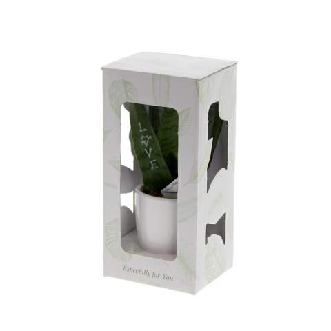 Ideaal voor op het bureau, deze eenvoudig te verzorgen en stijlvolle Sansevieria. De Sansevieria Message Printz® is een toegankelijke plant die je kunt aanpassen met jouw eigen ontwerp of logo. Door het geven van deze plant breng je als gever op een unieke manier je boodschap over aan jouw relaties. Ondanks dat deze plant bijna geen verzorging nodig heeft, kan hij wel maanden tot jaren meegaan. Met een fraai keramisch potje eronder krijgt deze Sansevieria meteen een mooie plek.<br /><br />Deze Sansevieria zal zeker niet onopgemerkt blijven in een kast of lade, wat het tot een waardevol relatiegeschenk maakt dat de aandacht trekt. Personaliseer deze plant met twee bedrukte bladeren, bijvoorbeeld met het logo en de slogan van jouw bedrijf. Door gebruik te maken van speciale technieken kunnen we verzekeren dat het personaliseren van de planten geen impact heeft op hun levensduur. <br /><br />Heeft u vragen over dit product, de gewenste personalisatie of eventuele verpakkingen? Neem dan gerust contact met ons op.<br /><br />Bloemen en planten zijn levende artikelen en dienen met zorg vervoerd te worden om de kwaliteit te waarborgen. Denk hierbij aan het recht ophouden van planten, breekbaarheid en de invloed van tempratuur op de planten. Hierdoor is het in bijna alle gevallen noodzakelijk om onze producten wanneer het in bulk gaat per pallet te verzenden, ook wanneer het lage aantallen betreft. Vraag ons gerust naar de transportkosten.