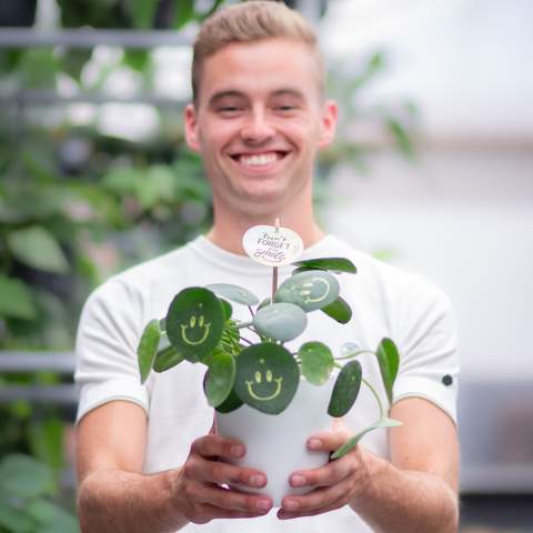 Met deze levende plant tover je een glimlach op het gezicht van je relaties, straal je positiviteit uit en breng je leven op kantoor. De trendy Pannenkoekplant is omgetoverd tot de Smylieplant®, die iedereen blij maakt. De Pilea peperomioides, beter bekend als de Pannenkoekplant, is weer helemaal terug van weggeweest. Deze bekende plant heeft 3 smileys, wat zorgt voor een unieke uitstraling. Het wordt ook wel de ideale bureauplant genoemd, omdat zowel planten zelf als lachen goed zijn voor de gezondheid. Wanneer deze plant voldoende water en licht krijgt, kan hij heel lang meegaan. De smileys en logo's blijven op de plant staan, tenzij het blad waarop ze staan afvalt. Dit is een normaal verschijnsel bij planten, maar dit kan wel enige tijd duren.<br /><br />Het is uiteraard mogelijk om de Smylieplant® te personaliseren met jouw logo of ontwerp. Dankzij onze speciale technieken heeft het aanbrengen van de smileys of logo's geen invloed op de levensduur. Hiermee kun je jouw logo, slogan of boodschap laten schitteren op één of alle bladeren van de Smylieplant®, wat een unieke indruk achterlaat. Bovendien bieden we ook de mogelijkheid om de plantenpot te bedrukken of een gepersonaliseerd kaartje bij te voegen. Wil je echt eens een glimlach op iemands gezicht toveren en positiviteit uitstralen, dan is de Smylieplant® het perfecte item.<br /><br />De Smylieplant® is deels seizoensgebonden en groeit aanzienlijk beter in de zomer dan in de winter door de grotere hoeveelheid licht en zon. Neem contact met ons op voor de actuele beschikbaarheid en kwaliteit tijdens de winterperiode. Dit product wordt altijd in een beschermende transparante plantensleeve ingepakt, ook wanneer dit in een giftbox verpakt wordt. Dit doen wij om de plant te beschermen tegen eventuele beschadigingen. Heeft u vragen over dit product, de gewenste personalisatie of eventuele verpakkingen? Neem dan gerust contact met ons op.<br /><br />Bloemen en planten zijn levende artikelen en dienen met zorg vervoerd te worden om de kwaliteit te waarborgen. Denk hierbij aan het recht ophouden van planten, breekbaarheid en de invloed van tempratuur op de planten. Hierdoor is het in bijna alle gevallen noodzakelijk om onze producten wanneer het in bulk gaat per pallet te verzenden, ook wanneer het lage aantallen betreft. Vraag ons gerust naar de transportkosten.