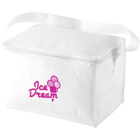 Compact cooler bag suitable for up to 6 cans.