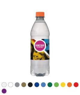 500 ml bronwater in een flesje van 100% gerecycled plastic (R-PET), met draaidop, statiegeld binnen Nederland 0,15 €